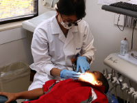 Dentistry and Orthodontics.